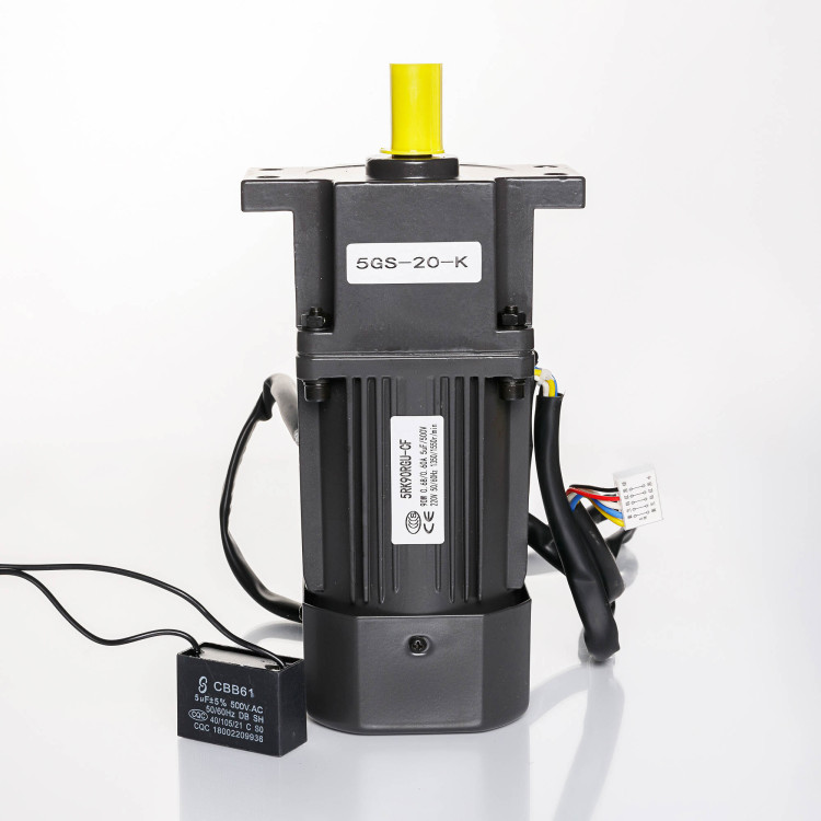 Двигатель конвейера 5RK90RGU-CF/5GS-20-K для BS-6535LA